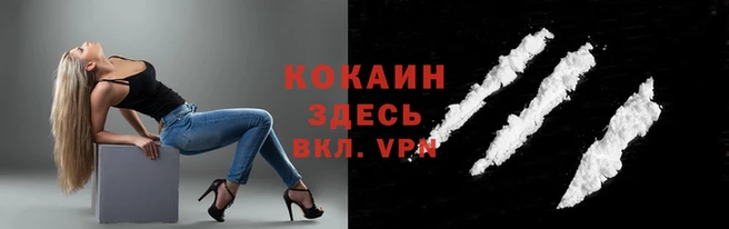 стаф Лиски