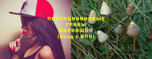 мдпв Лихославль
